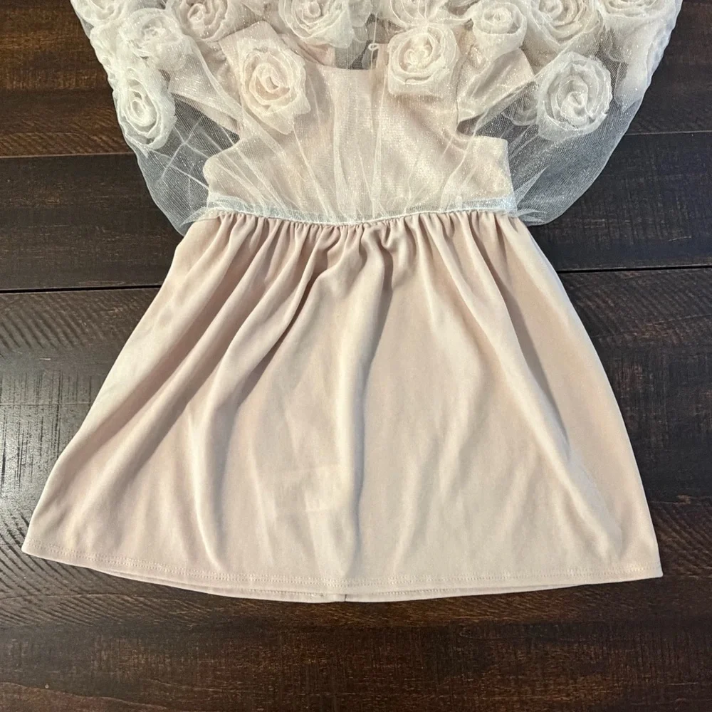 Nannette 3D Rosette Tulle Dress Champagne Pink 18M Flower Girl Birthday Shimmer